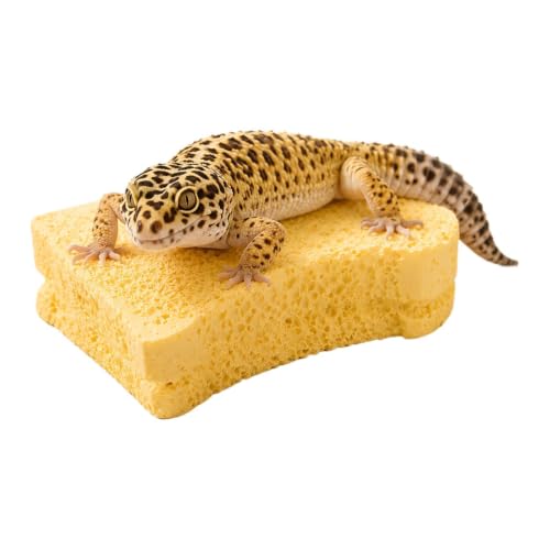 Générique Gecko-Werkzeug mit rauer Textur