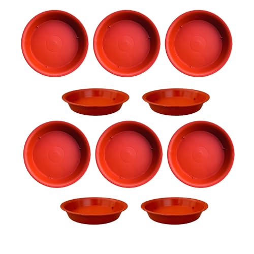 Image of Plant Saucer Base Plate for Pots | Premium Planter Tray |100% Virgin Plastic, UV Treated, Durable & Lightweight | Ideal for Indoor & Outdoor (10, 6 inch Tr)