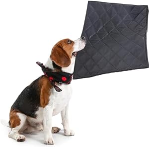 Chew Proof Dog Crate Pad Mat-22x35 inches More Durable and Indestructible Fabric Dog Bed for Chewers Tough on Their Bed-Durable Kennel Pad for Dogs Cages-Water Resistant and Washable (Black) Chew Proof Dog Crate Pad Mat-22×35 inches More Durable and Indestructible Fabric Dog Bed for Chewers Tough on Their Bed-Durable Kennel Pad for Dogs Cages-Water Resistant and Washable (Black)