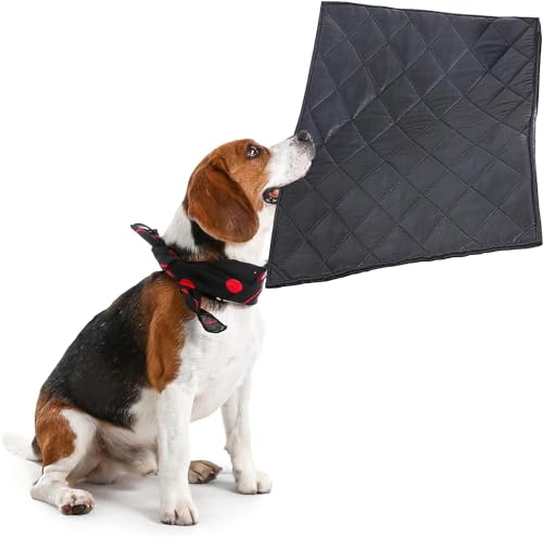 Chew Proof Dog Crate Pad Mat-22×35 inches More Durable and Indestructible Fabric Dog Bed for Chewers Tough on Their Bed-Durable Kennel Pad for Dogs Cages-Water Resistant and Washable (Black) Chew Proof Dog Crate Pad Mat-22×35 inches More Durable and Indestructible Fabric Dog Bed for Chewers Tough on Their Bed-Durable Kennel Pad for Dogs Cages-Water Resistant and Washable (Black)