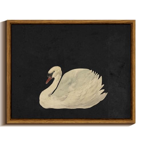 Vintage Swan Canvas Print – Rustic Farmhouse Wall Art Decor