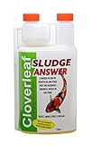 Cloverleaf Sludge Answer for Pond & Aquarium (1 Litter)