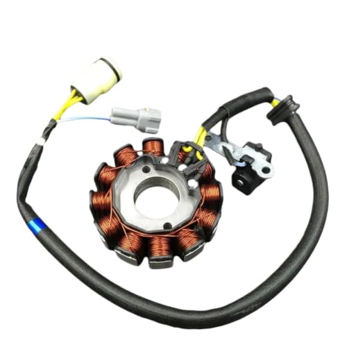 Bobina de estator para Kayo T6 en rutas de motocross y circuitos de tierra duros