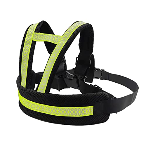 Find The Best Safety Harness For Kids Reviews & Comparison Katynel