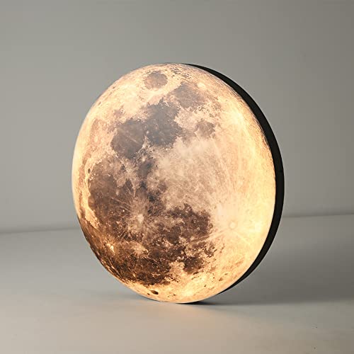 Plafonnier LED dimmable lune 3D avec intensité lumineuse réglable 24cm - 5