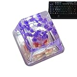 teclas sueltas para laptop lenovo Sofisticación visual: a medida que comienza la retroiluminación del teclado, las rosas de camelia en las teclas florecen con claridad, proyectando una luz y sombra encantadoras, asegurando una experiencia visualmente impresionante con su transmisión de luz.