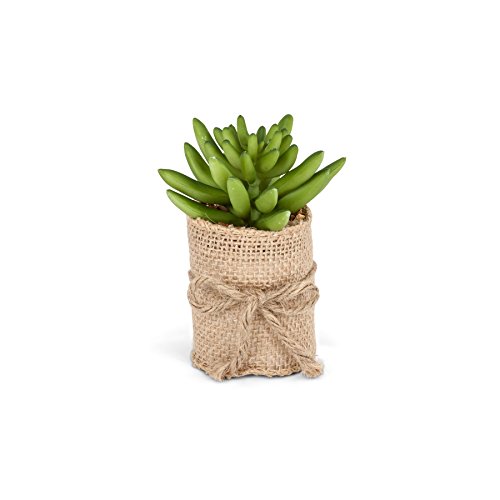 Abbott Collection Set Of 4 Green Succulents In Burlap Wrap #TOP4