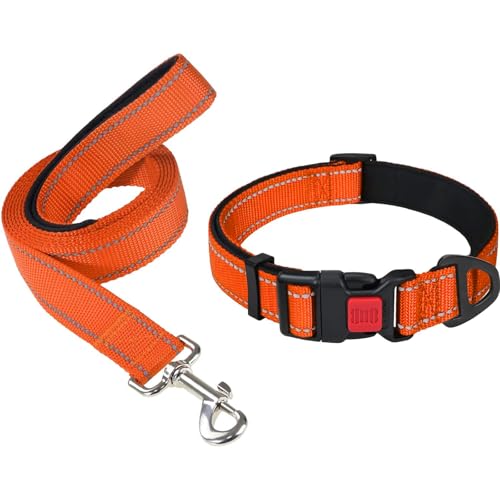 Taglory 10"-16" Dog Collar and 6 FT Dog Leash Set, Highly Reflective Threads Dog Leash, Adjustable Reflective Dog Collar with Safety Locking Buckle for Small Dogs