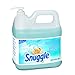 Diversey Snuggle Liquid Fabric Softener (Floral, 2-Gallon, Case of 2)