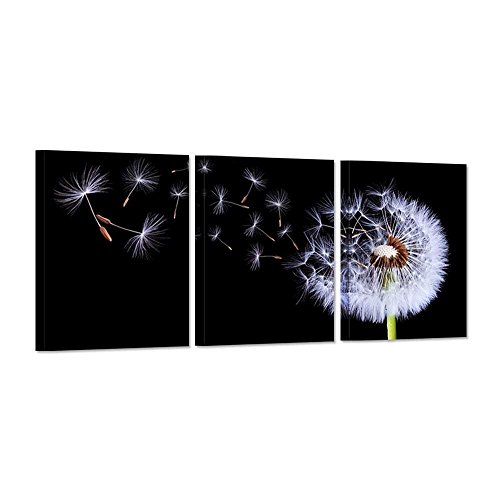 iHAPPYWALL 3 Pieces Dandelion Canvas Wall Art Black and White Fluttering Dandelion Nature Flower Picture Print On Canvas Modern Home Decor Stretched and Framed Ready to Hang 12x16inchx3pcs