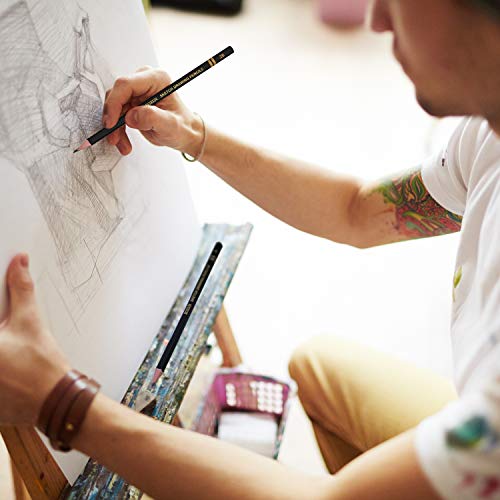 Boxun Artist Sketching Pencils Set - Professional 12 Pieces Drawing Pencils 12B, 10B, 8B, 6B, 4B, 2B, B, Hb, H, 2H, 3H, 4H Graphite Shading Pencils For Beginners And Students #TOP4