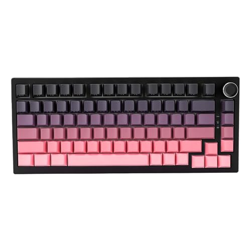 Clavier mécanique échangeable à chaud avec touches PBT Tangxi RVB