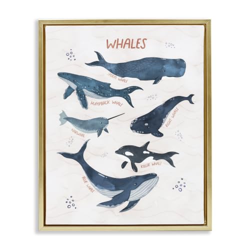 Stupell Industries Nautical Diagram Whale Narwhal Types Bubbles Illustration, Design by Nina Blue, 1.50" x 1.50", Gold Floater Framed