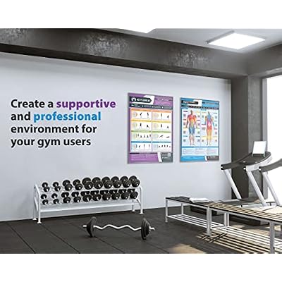 Workout Posters for Home Gym | Muscle Group Gym Poster | Exercise Posters | Laminated Gym or Home Workout Chart | Free Video Training Support | Large Size 24 X 16.5 | Set of 20