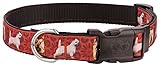 Country Brook Petz - Deluxe Cairn Terrier Ribbon Dog Collar Limited Edition Featuring Unique Designs for Any Style (1 Inch, Large)