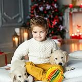 Zoom IMG-2 hpbaggy sniffing ball per cani Zoom IMG-2 hpbaggy sniffing ball per cani