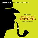 Cover of The Hound of the Baskervilles