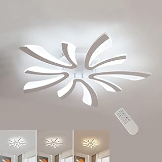 Comely Ceiling Light Dimmable, LED Ceiling Lighting 48W 4000LM, 3000K-6500K, Acrylic Modern Lighting Fixture with Remote Control for Living Room Bedroom (Dia 75cm)