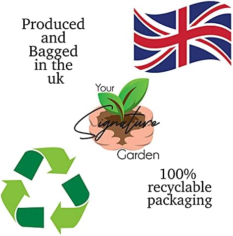 Laeto Your Signature Garden John Innes Seed Multi Purpose Compost | Used For All Seed Varieties, Retains Moisture And Feeds For Up To 4 Weeks - 35 Litre Bag