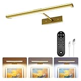 EZVALO Picture Light for Wall, 4800mAh Rechargeable Wireless Remote, 13in Dimmable Magnetic LED Art Display Light with 3 Color Temperatures, for Gallery, Living Room, Bedroom, Hallway (Gold)
