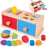 Montessori Spielzeug ab 1 Jahr, Spielzeug ab 1 2 Jahre Mädchen Jungen Baby Spielzeug Geschenk Mädchen Jungen 1 2 Jahre Kinderspielzeug Motorikspielzeug Holzspielzeug ab 1 Jahr Farbe Sortierspiel