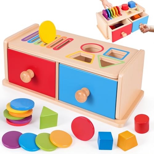 Montessori Spielzeug ab 1 Jahr Spielzeug ab 1 2 Jahre Mädchen Jungen Baby Spielzeug Geschenk Mädchen Jungen 1 2 Jahre Kinderspielzeug Motorikspielzeug Holzspielzeug ab 1 Jahr Farbe Sortierspiel