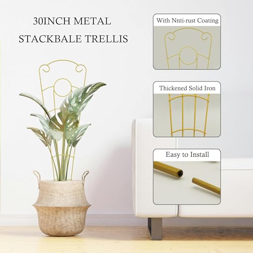 Image of 30 Inch Trellis for Climbing Plants Indoor 4 Pack Indoor Plant Trellis for Potted Plants Metal Garden Trellis for pots Indoor Outdoor for Monstera Pothos Vine Ivy Hoya(4Pcs 30inch Gold)
