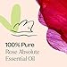 Plant Therapy Rose Absolute Essential Oil 100% Pure, Undiluted, Natural Aromatherapy, Therapeutic Grade 5 mL (1/6 oz)