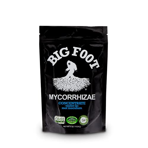 Big Foot Organic Mycorrhizal Fungi Water-in Concentrate. 4 Species Endo Mycorrhizae Inoculant for Plant Root Growth. 1 TSP per Gallon of Solution. Biochar, Worm Castings, Micronutrients (4 oz)