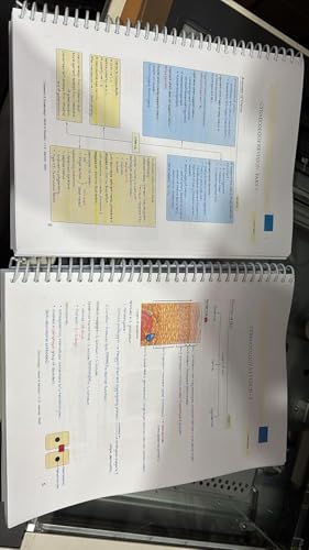 Image of World Rapid Revision marrow Notes 2025-26 - Ultimate Rapid Revision for NEET PG, FMGE & AIIMS