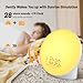 iEasy Wake up Light Sunrise Alarm Clock for Everyone, Sunrise Sunset Simulation, Sleep Aid, Dual Alarms, FM Radio, Snooze, Nightlight13 Colors 23 Sleep Sounds 28 Built-in Alarm Tone 32 Volumes Gift