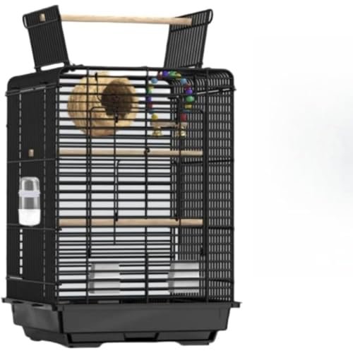 REENEW  P[W o[hP[W ^ ZLZCCRP[W  Vt a |₷ ZLZCCR IJCR  P[W Q[W  (B)