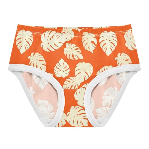 Plant Orange Toddler Girls's Underwear 2T 2302888