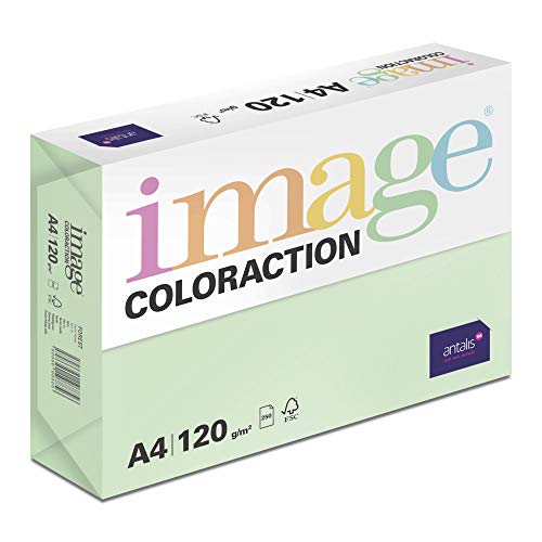 Papier de couleur Vert Forest A4 120g idéal pour vos dossiers créatifs