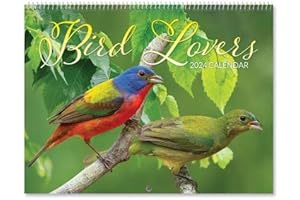 2024 Calendar Wall Birds