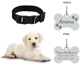 Coleira Personalizada Com Nome E Telefone A Lase (G, Preta)
