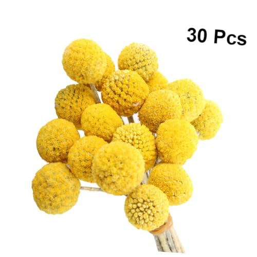 Bolsa 30 Bolas Florales Secas Amarillas Holibanna miniatura 6