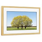 artboxONE Poster mit Rahmen Kiefer 75x50 cm Baumgruppe auf grüner Wiese von lightyear21 - gerahmtes Poster