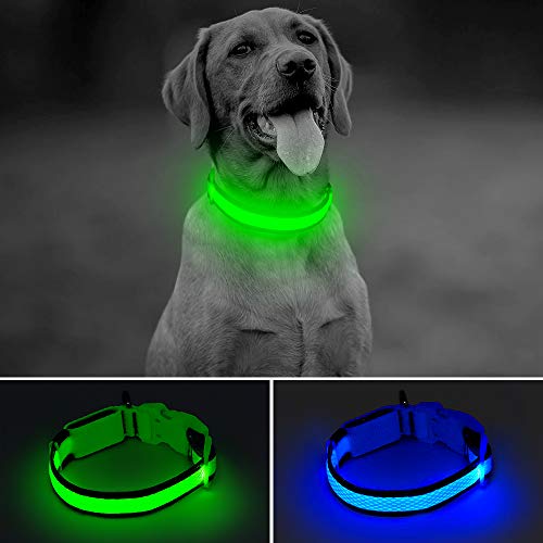 BSEEN LED Dog Collar USB Rechargeable Glowing Lighted Up Pet Collar, Lightweight Nylon Webbing High Visibility Keep Pet's Safety Glow in The Dark for Small Medium Large Dogs (Green, Medium)