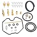 Wingsmoto Carb Repair Carburetor Rebuild Kit for 1997-2005 Honda TRX 250