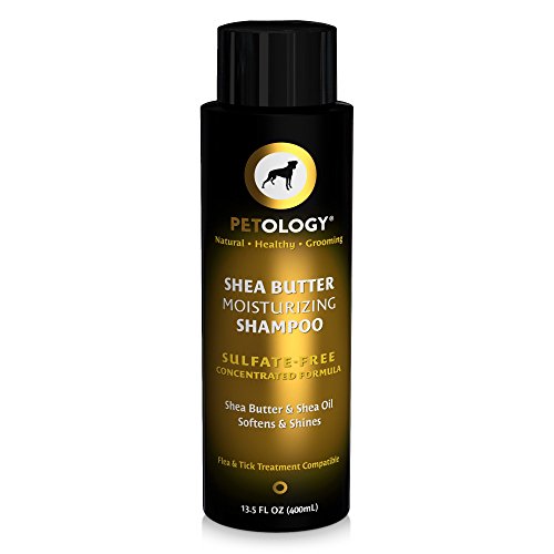 Top 10 Best Husky Shampoos Reviewed in 2024 Pet Struggles