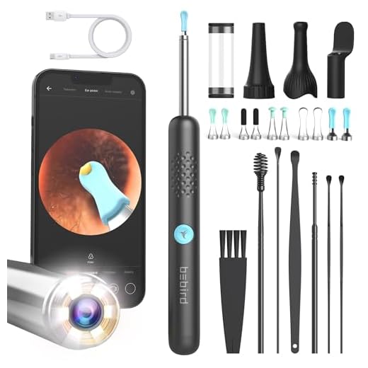 Best garden multi tool ireland BEBIRD Wax Removal Tool: R1 Upgraded Ear Canal Cleaner with 1080P Camera, Smart Visual Wax Remove Kits with 6 LED Lights & Multi Replacement Tip for Daily Cleaning Ear