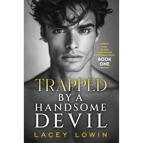 Trapped By A Handsome Devil Audiolibro Por Lacey Lowin arte de portada