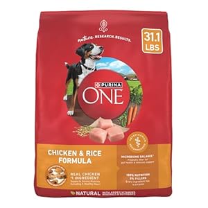 Purina One smartblend dry food bag dog adult