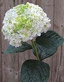 artplants.de Hortensia Artificial Emilie, Blanco-Verde, 60cm, Ø20cm - Hortensia Textil