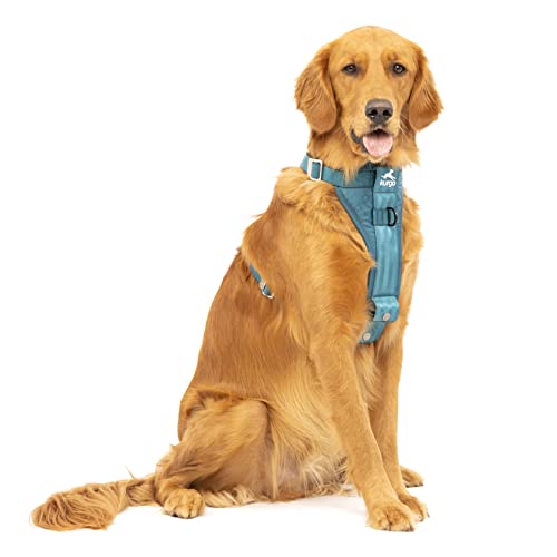 Kurgo TRU-Fit Hundegeschirr, Crash-Test-erprobtes Auto-Sicherheitsgurt, Für Hunde von 2 bis 5 kg, Größe L, Tinte Blau