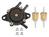 HIFROM Fuel Pump Fuel Filter with Clamp Replacement for John Deere 108 L105 102 115 105 X120 X145 L107 L108 LA125 LA115 LA105 D110 D105 Lawn Tractor MIA12509 MIA11474
