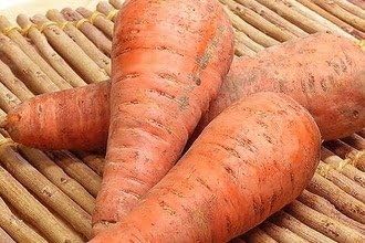 自然農法 又は有機栽培 特別栽培 人参 5kｇ 9218 西日本または北海道また中部地方産 高級品市場