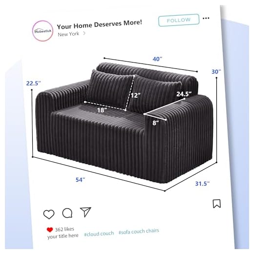 Hobestluk 2-Seater Loveseat Sofa in Dark Grey