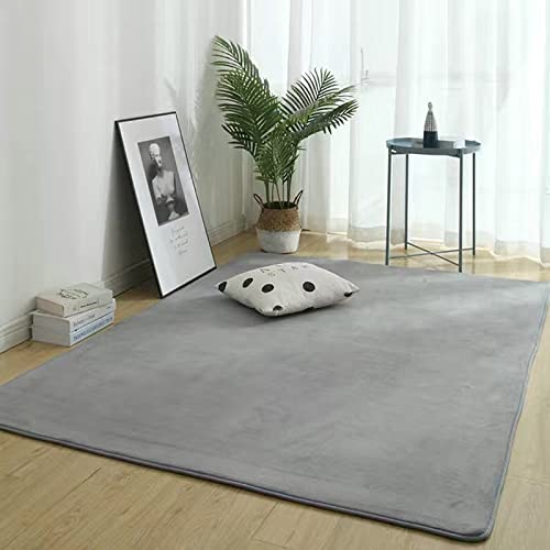 Alfombra casa térmica ZAW contra suelos fríos en invierno gris